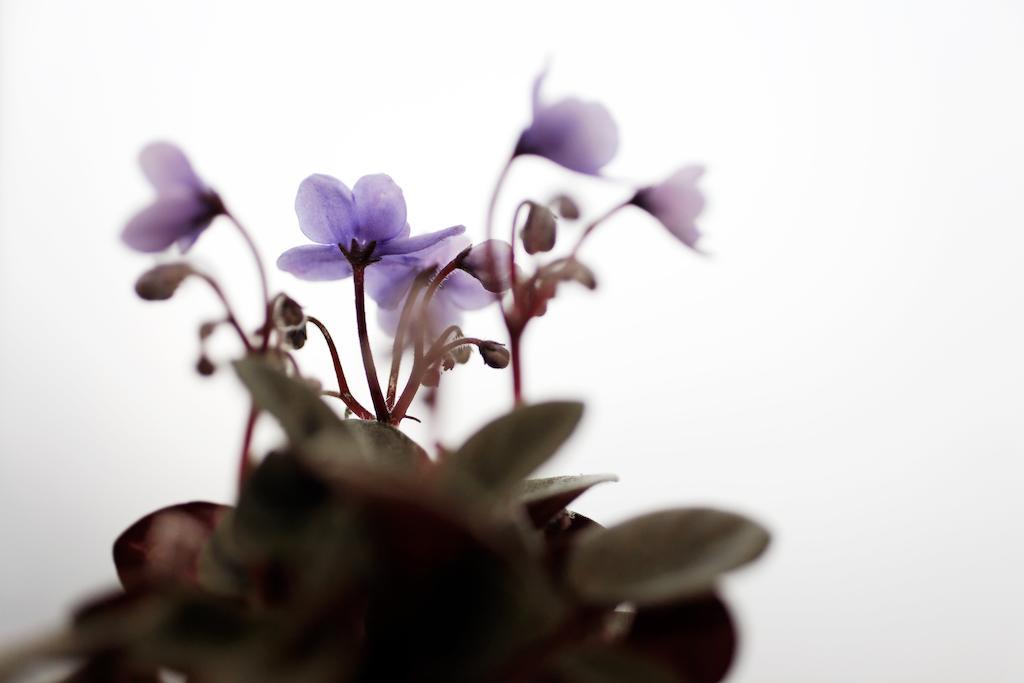 La Manufacture Hotel Paris