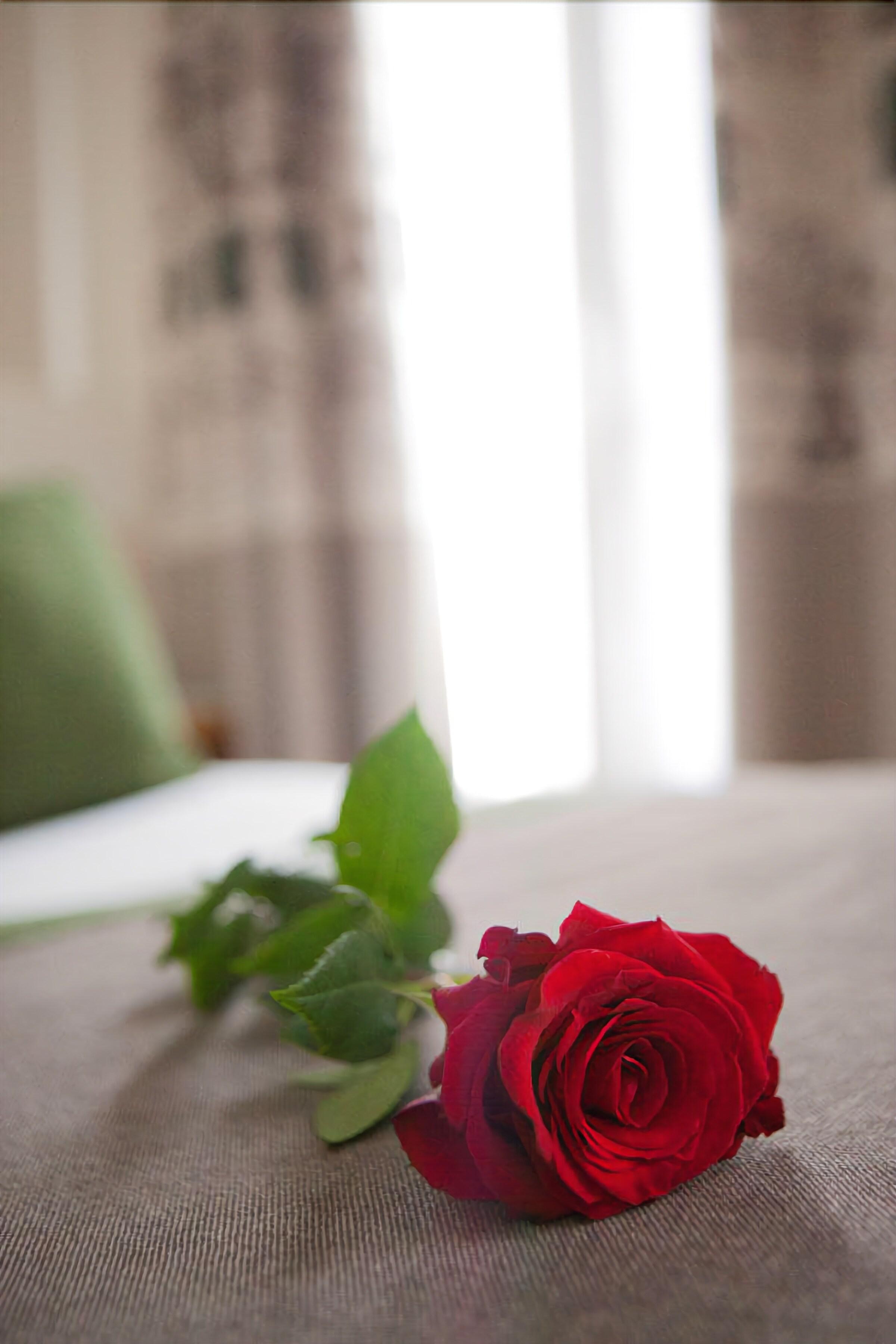 La Manufacture Hotel